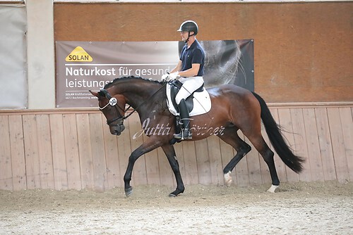 Stutenleistung0074