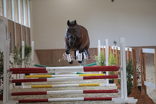 Freispringen 201