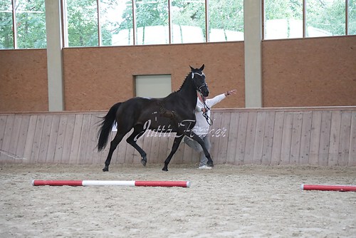 Siegerehrung 183