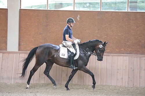 Stutenleistung0106