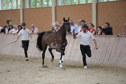 Freispringen 453
