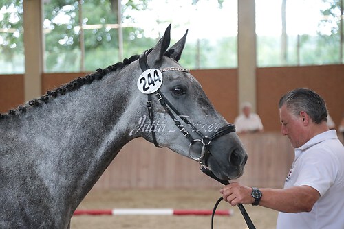 Siegerehrung 126