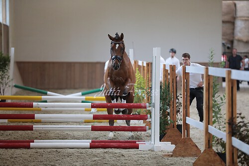 Freispringen 308
