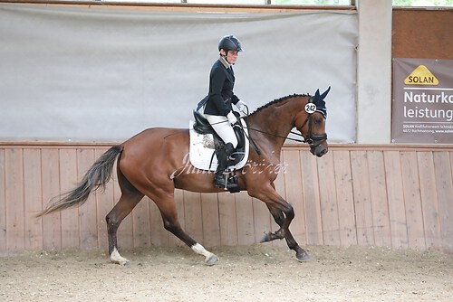 Stutenleistung0200
