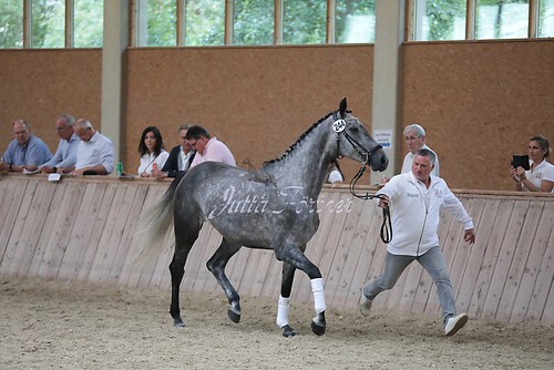 Freispringen 292