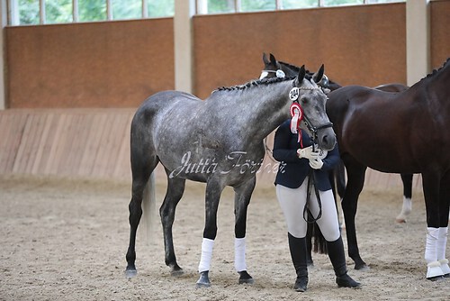 Siegerehrung Stutenleistung0161