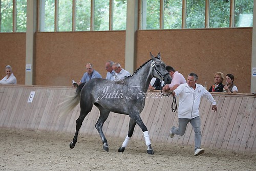 Freispringen 293