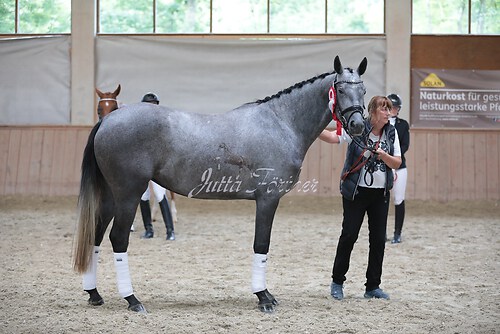 Siegerehrung Stutenleistung0054