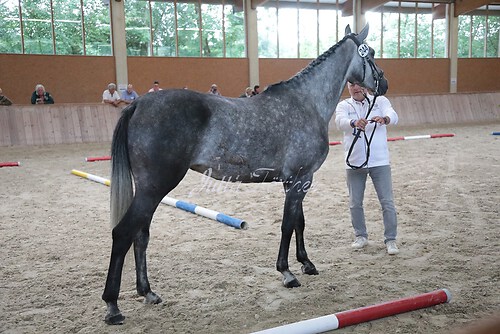 Siegerehrung 251