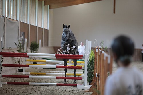 Freispringen 251