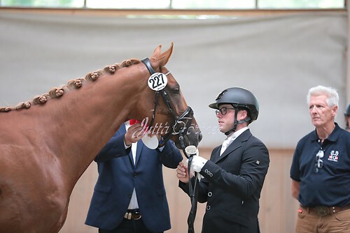 Siegerehrung Stutenleistung0025