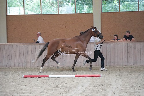 Siegerehrung 261