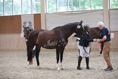 Siegerehrung Stutenleistung0139