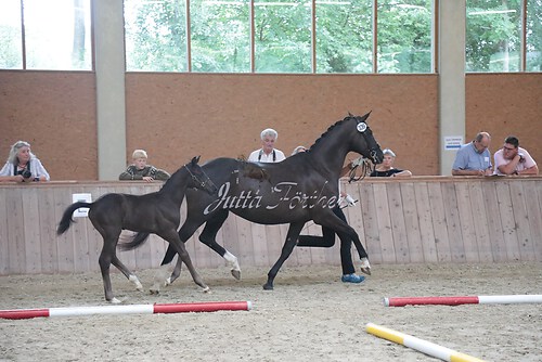 Siegerehrung 190