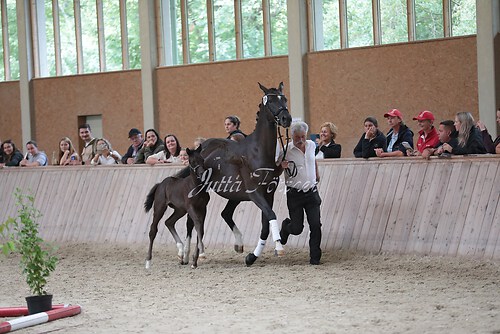 Freispringen 87
