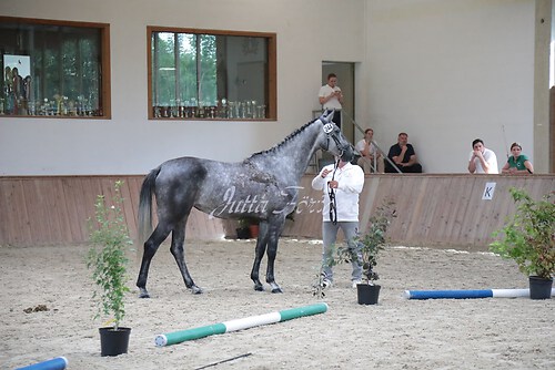 Siegerehrung 145