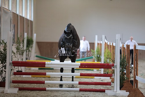 Freispringen 107