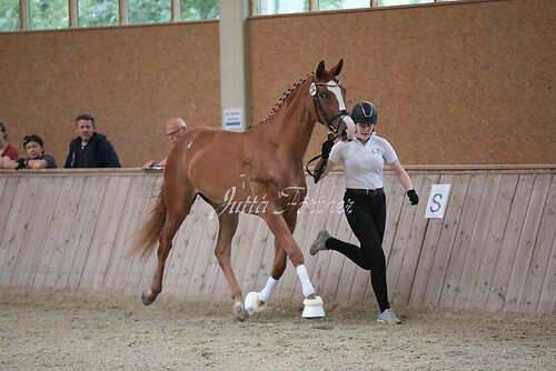 Freispringen 438