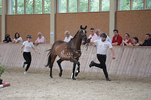 Freispringen 412