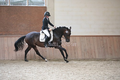 Stutenleistung0117