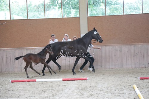 Siegerehrung 221