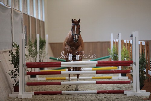 Freispringen 468