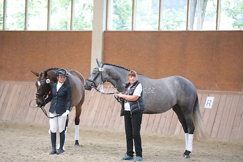 Siegerehrung Stutenleistung0093