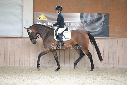 Stutenleistung0176