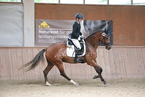 Stutenleistung0199