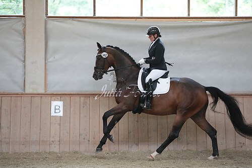 Stutenleistung0094