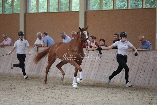 Freispringen 443