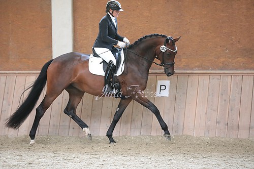 Stutenleistung0108