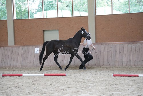 Siegerehrung 196