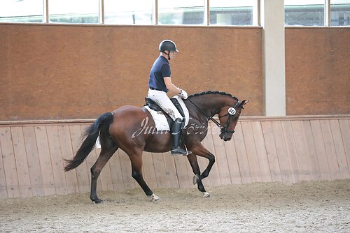 Stutenleistung0040