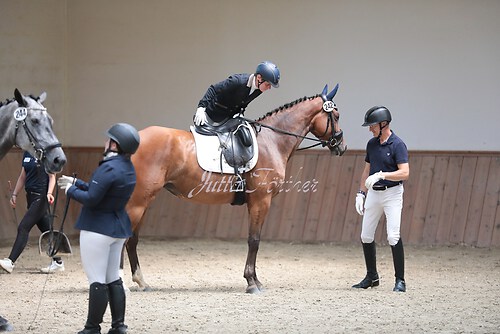 Stutenleistung0197