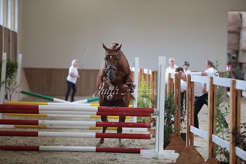 Freispringen 355