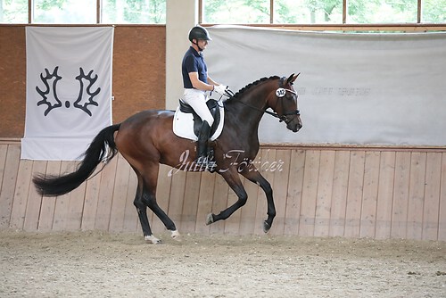 Stutenleistung0077