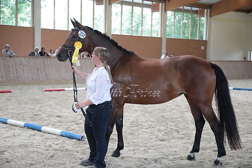 Siegerehrung 207