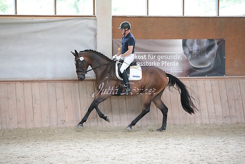 Stutenleistung0142