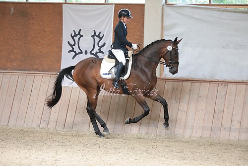 Stutenleistung0151