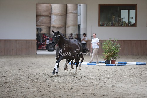 Freispringen 66