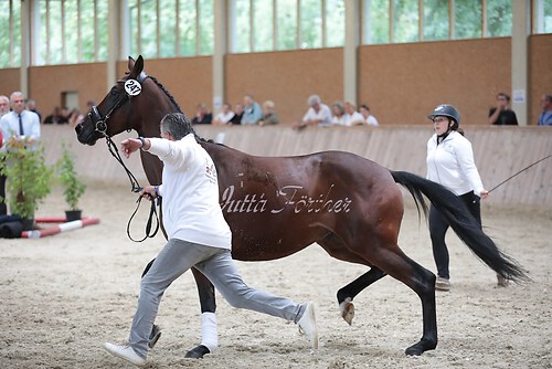 Freispringen 212