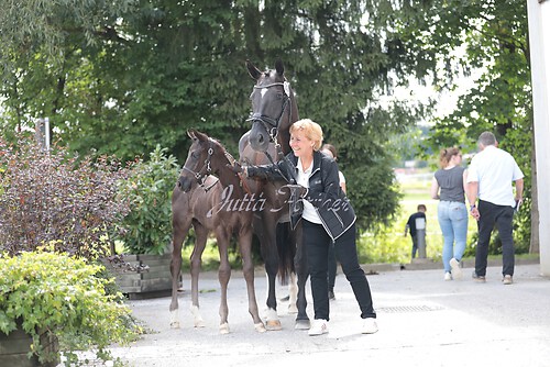 Siegerehrung 344