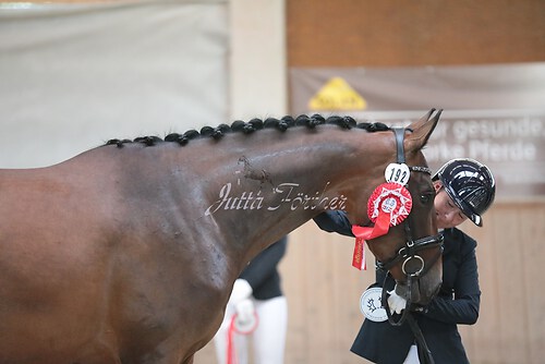 Siegerehrung Stutenleistung0071