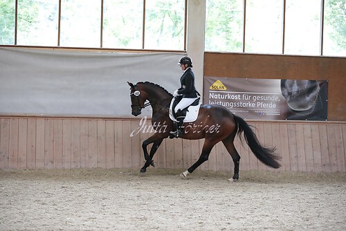 Stutenleistung0096