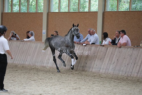 Freispringen 279