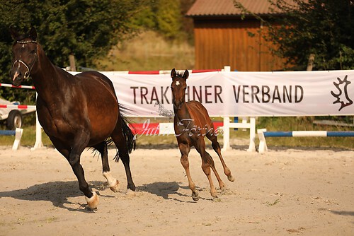 Lebensglück067