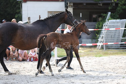 Lebensglück049