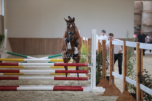 Freispringen 307