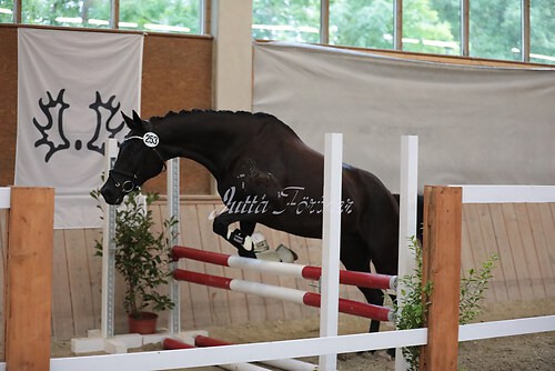 Herzogin Kate06